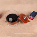 Enameled Cast Iron kettle/Teapot
